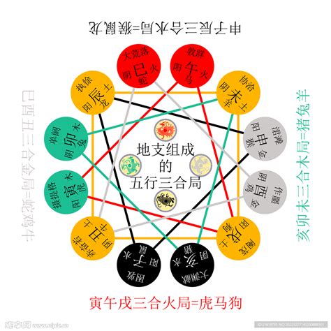 寅五行|十二地支类象详解 – 十二地支阴阳五行属性